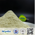 Light Yellow Vital Wheat Gluten Powder